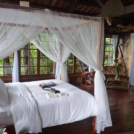 Rio Magnolia Nature Lodge Tinamaste Exteriér fotografie