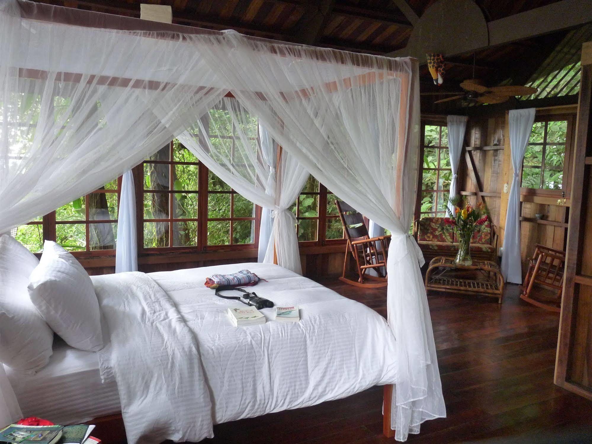 Rio Magnolia Nature Lodge Tinamaste Exteriér fotografie